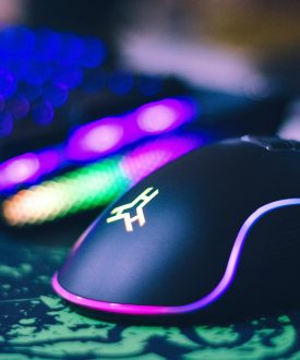 pexels-johnpet-2115256